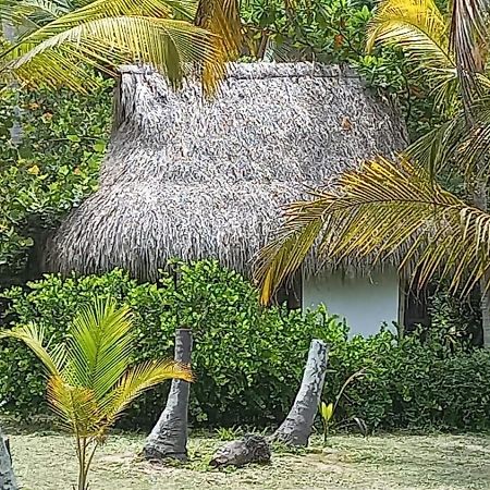 Playa Pikua Ecolodge Guachaca Esterno foto