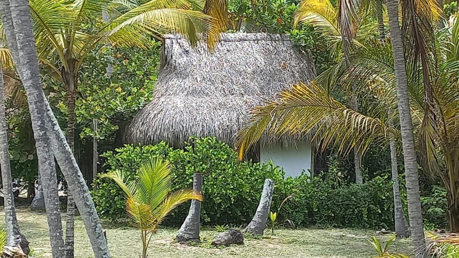 Playa Pikua Ecolodge Guachaca Esterno foto