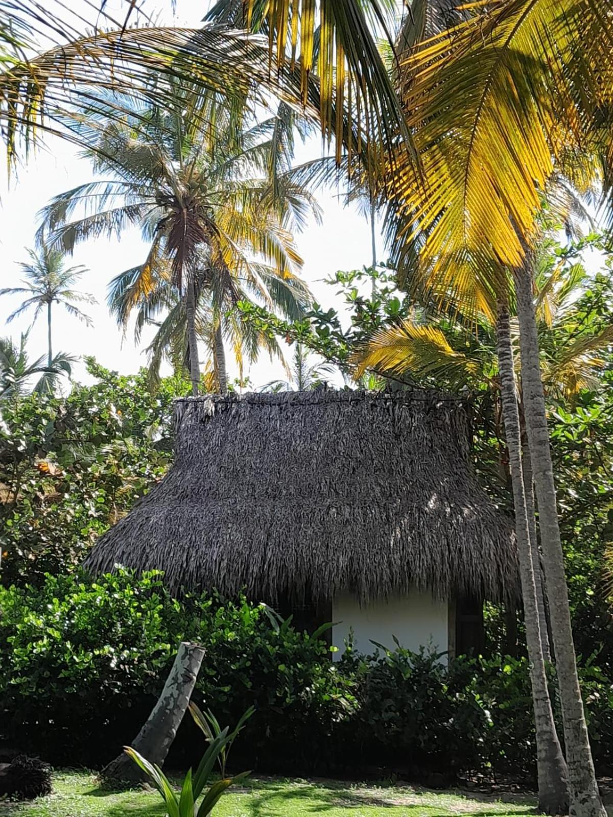 Playa Pikua Ecolodge Guachaca Esterno foto